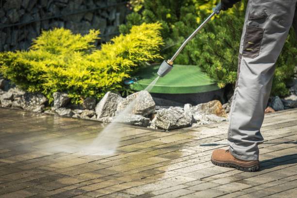 Animal Enclosure Cleaning in Oakley, KS